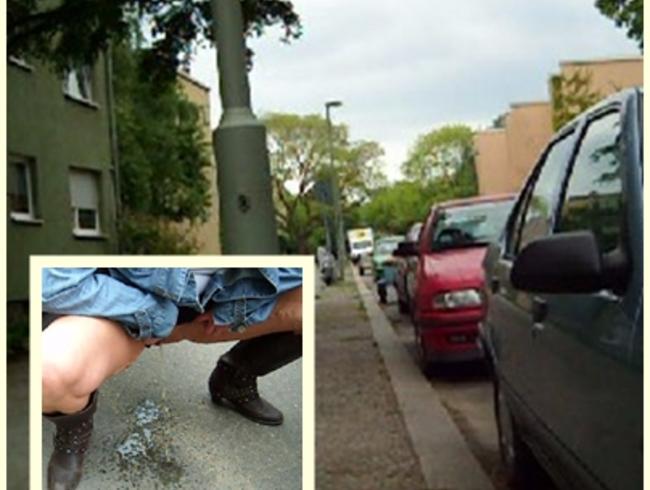 Auf die Strasse Gepisst!