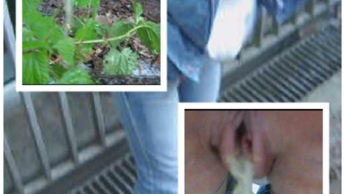 Brennessel ersoffen mit meinem geilen Strahl;)