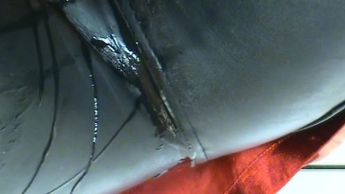 DU wirst es sicher ahnen…2