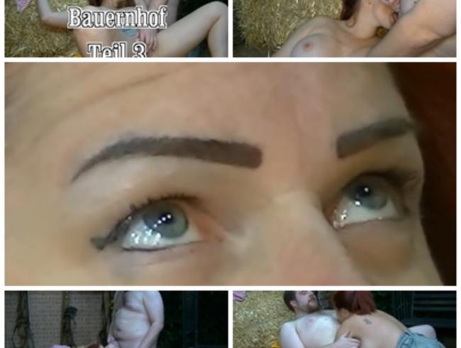 Ficken auf dem Bauernhof 3