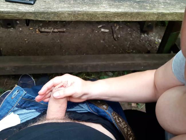 Handentsaftung im Wald