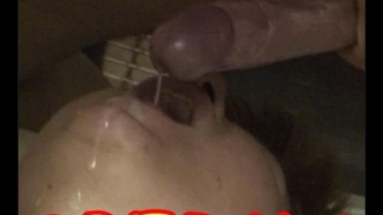 Mein neuer Hausfreund