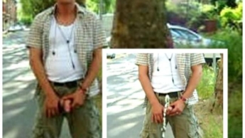 Mitten auf die Strasse