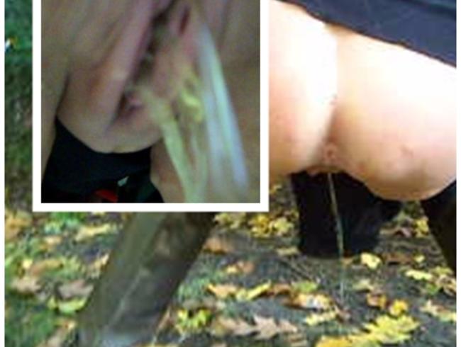 NS satt in die Hecke