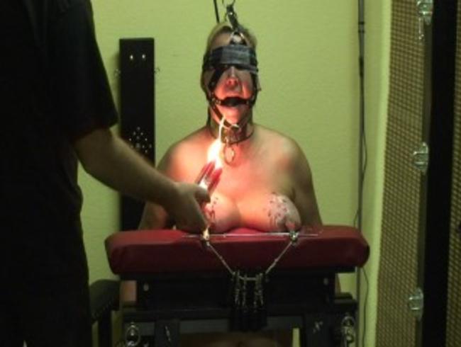 Titten auf den Bock…