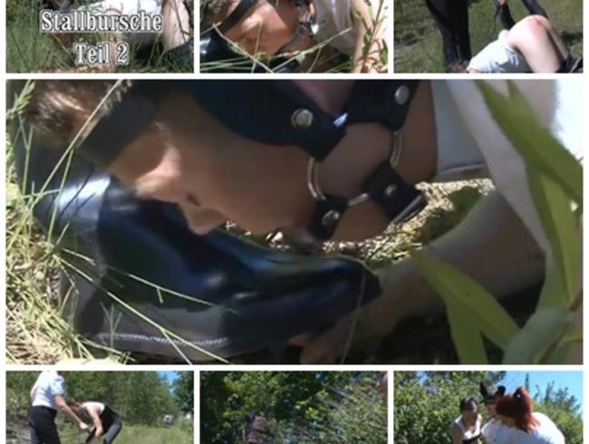 der neue Stallbursche 2