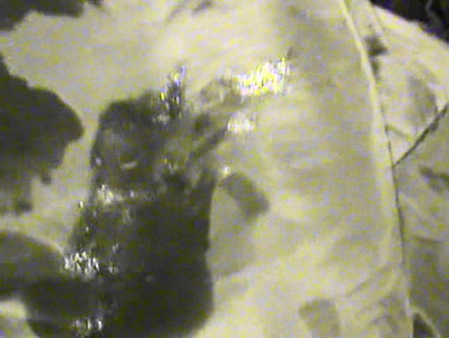 ich soll sie ja benutzen