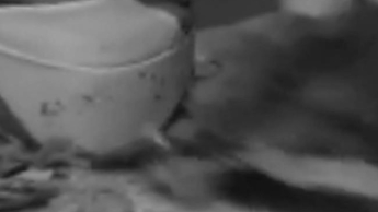 wie möchtest DU meine Pizza