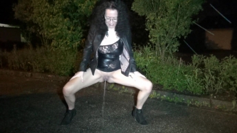 Besoffen vors Finanzamt gepisst