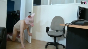 Sklaven Agentur mieten und kaufen jetzt geht es richtig los