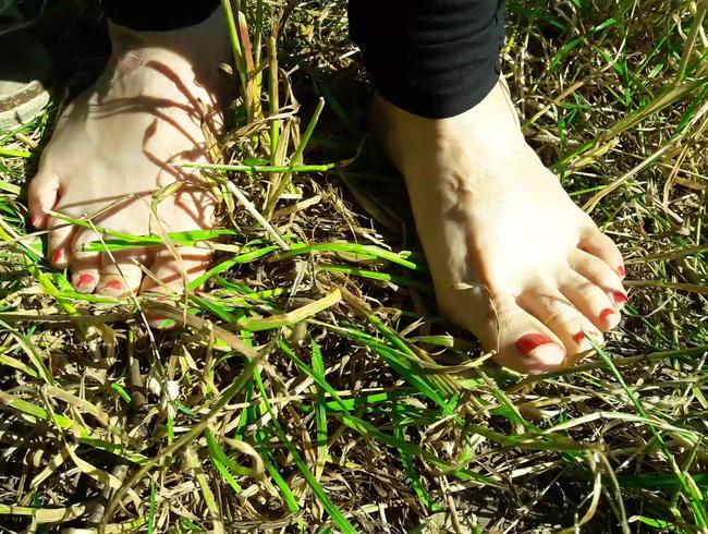 Meine Füße im trockenen Gras
