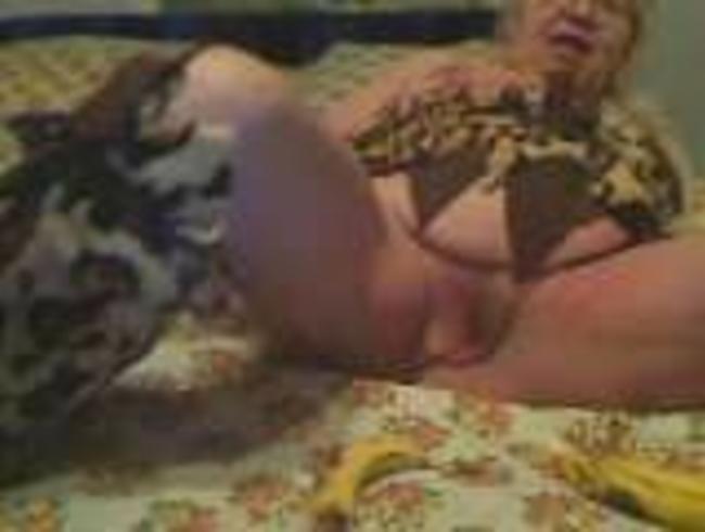 Ich bin ein Star…hol ihn raus